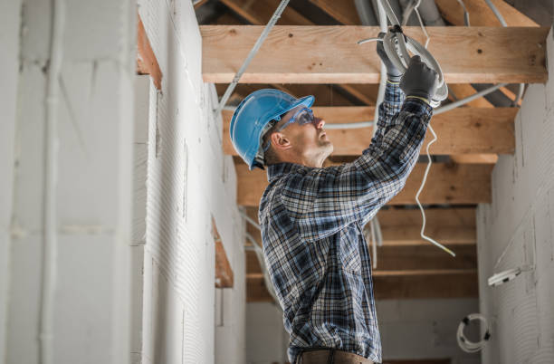 Best Electrician for Home Renovation  in Roaming Shores, OH