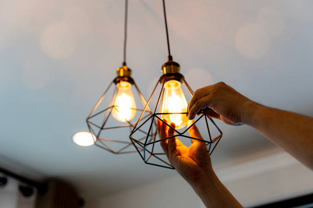 Best Electrician for Home Renovation  in Roaming Shores, OH