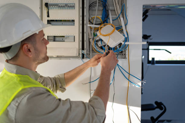 Best Electrical Repair Services  in Roaming Shores, OH